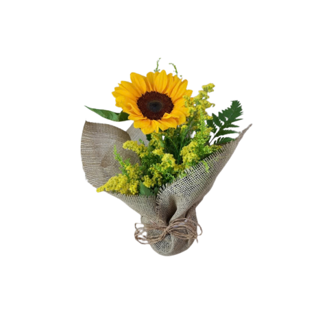 Arranjo "Raio de Sol"